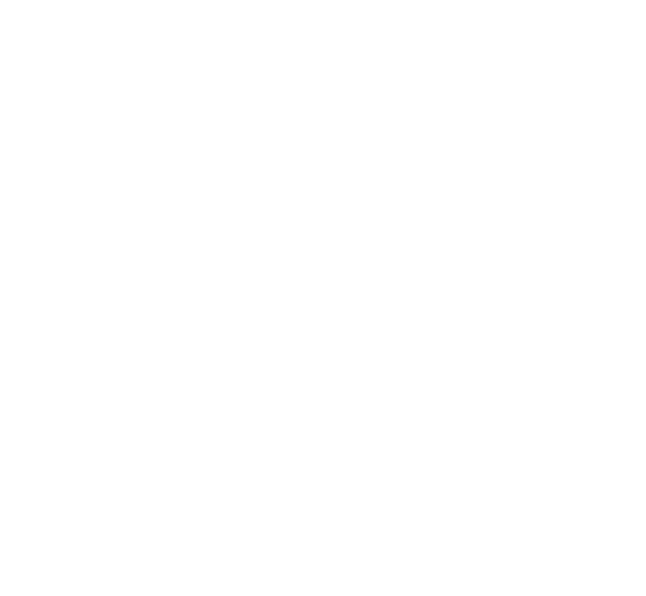 1 Ring