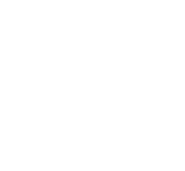Earrings, chain & 2 rings