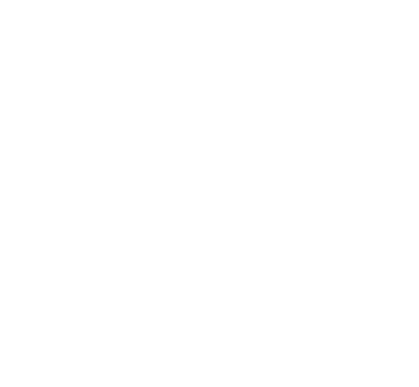 1 chain